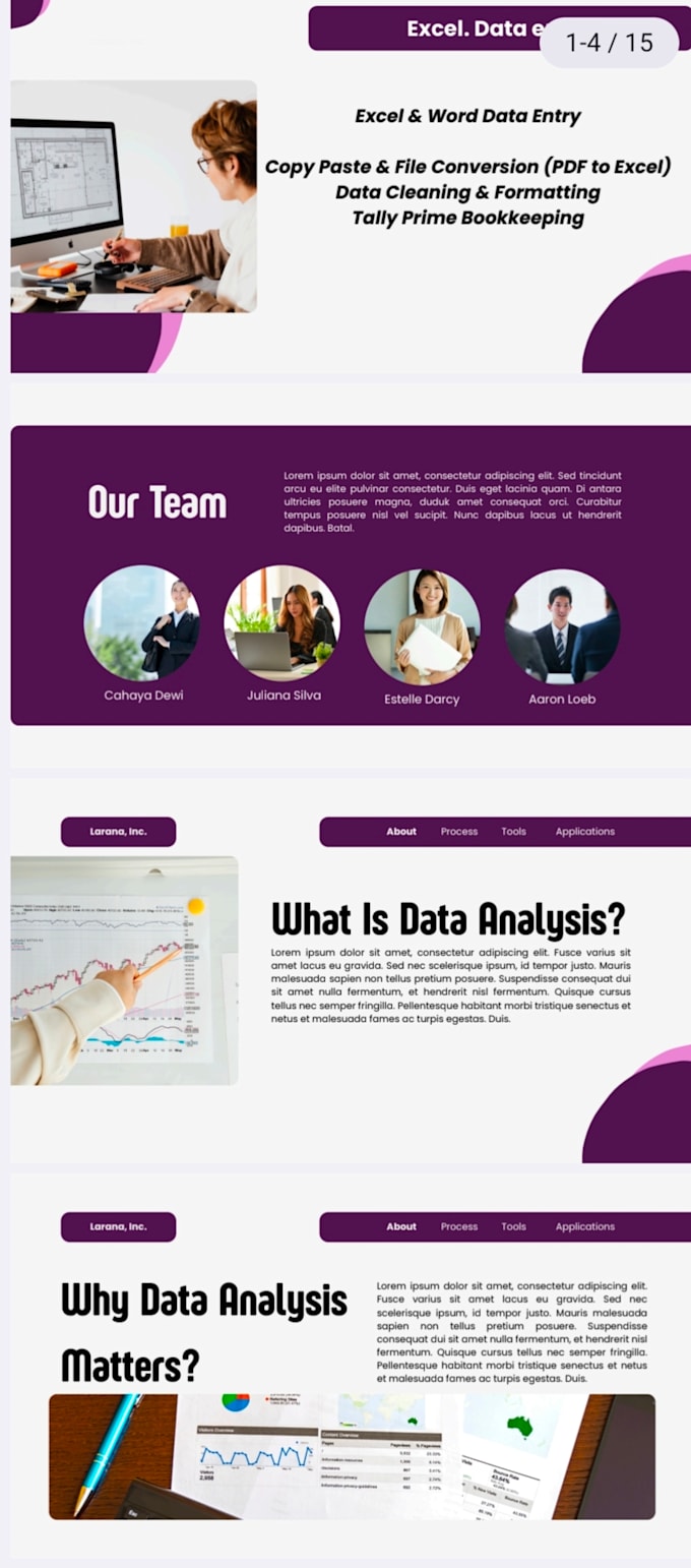 do professional excel data entry, copy paste, and tally bookkeeping