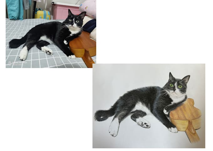 offer colored pencil and graphite pet portrait