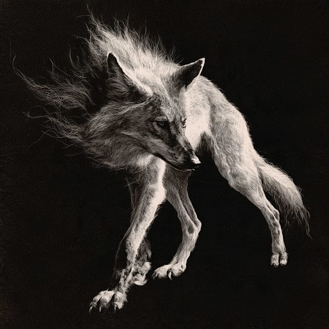 draw dark art animal illustration