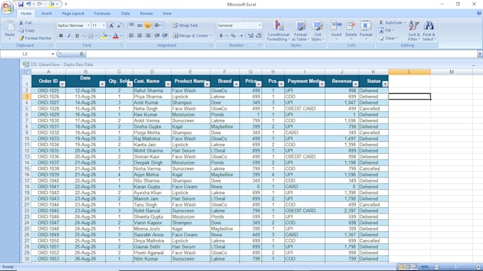 doaccurate excel data entry and copy paste work per page