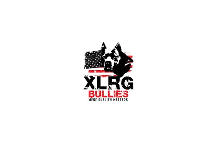 design american bully breeder logo