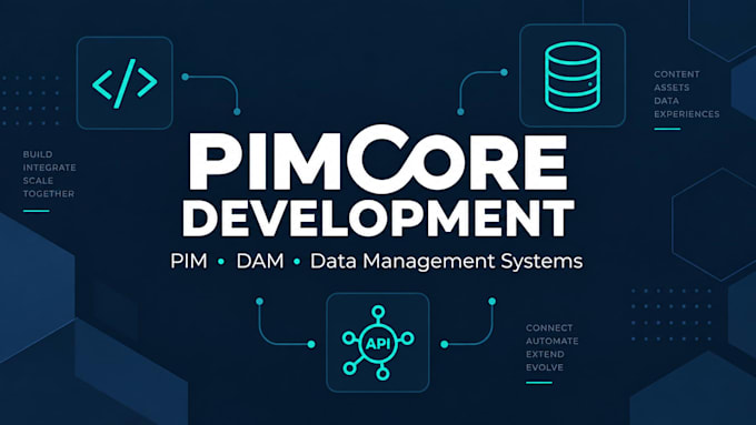 develop, customize and integrate your pimcore pim dam system