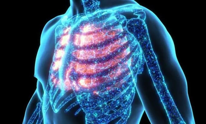 create a professional 3d medical animation and anatomy video