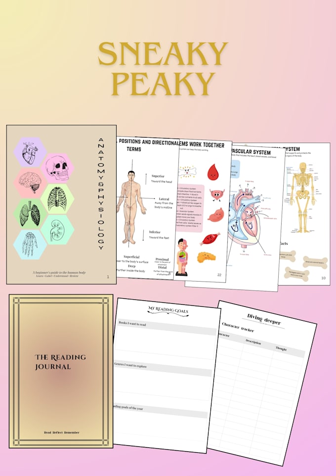 design workbooks, ebooks and educational pdfs in canva