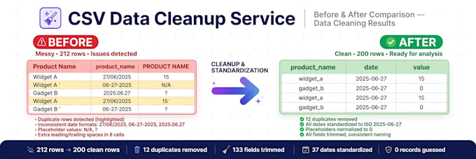 clean, dedupe and standardize your CSV file in 24 hours