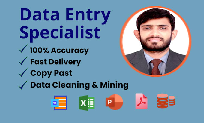 do excel data entry and web research