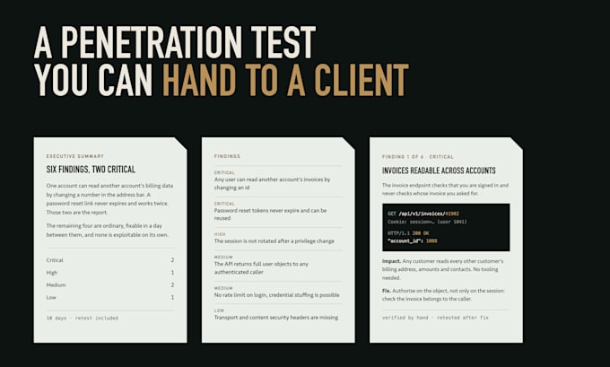 do penetration testing of your website and web application with a full report