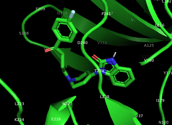 do molecular docking and docking score analysis