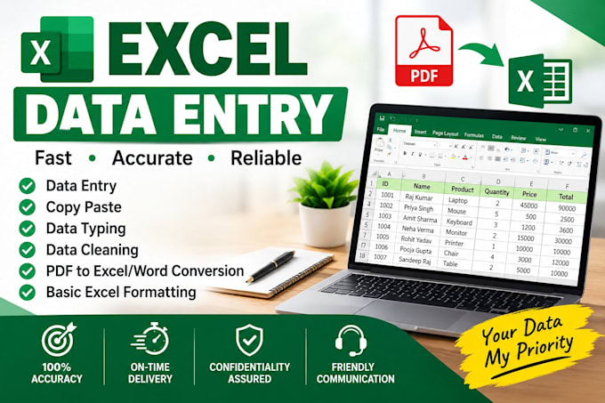 do excel data entry and data cleaning