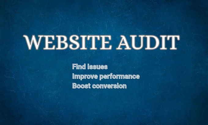 do audit website professionaly