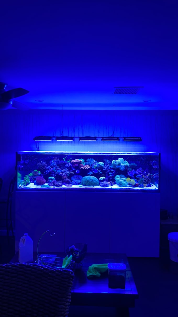 help you design a saltwater or reef aquarium