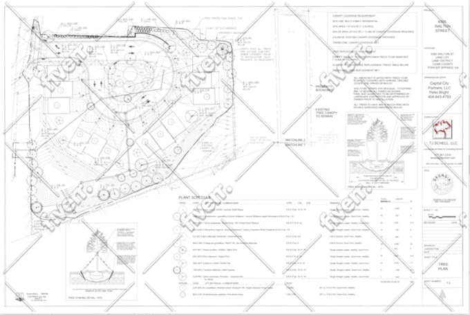 draw land survey plans for you