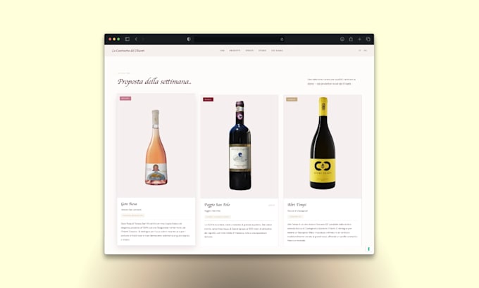 create a professional and fast website for your business