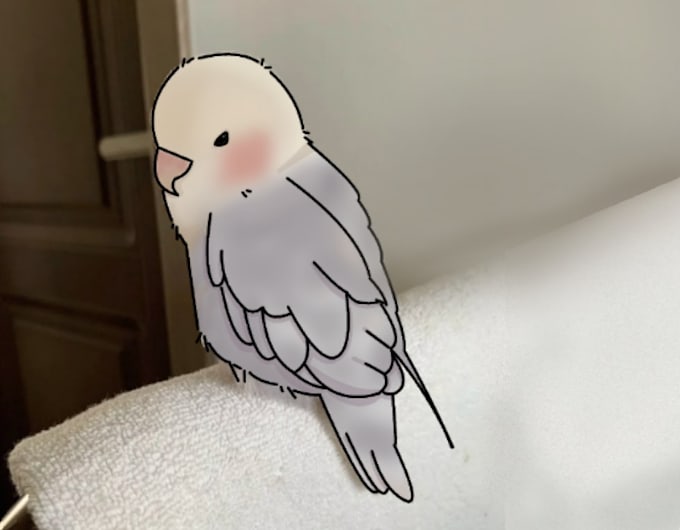 draw your favourite animals
