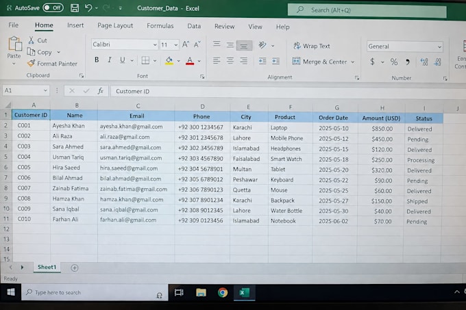 do accurate data entry and excel data formatting