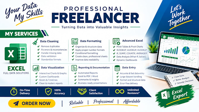 do excel data cleaning, excel data formatting, data analysis