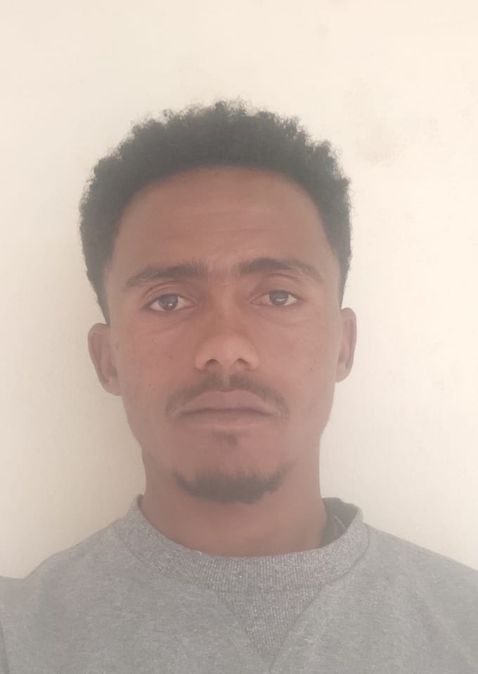 do professional english to amharic translation