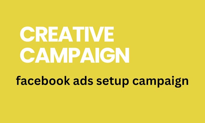 setup and manage profitable facebook ads campaign and instragram ads