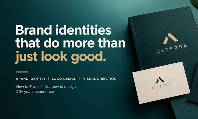 create a professional brand identity and visual direction