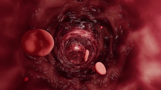 animate a 3d surgical or cardiovascular procedure walkthrough