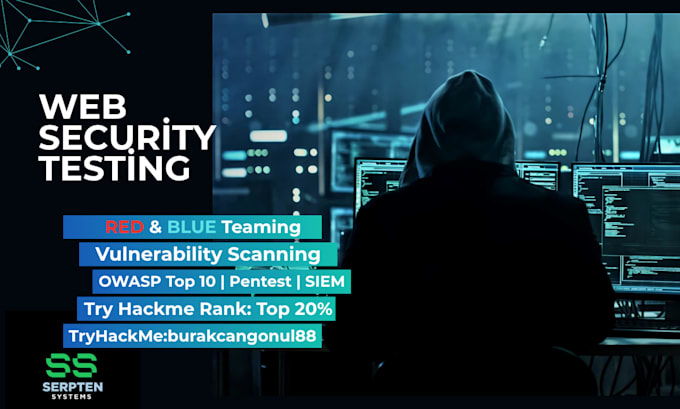 professional web security test and report