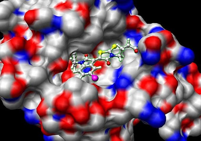 conduct molecular docking and virtual screening