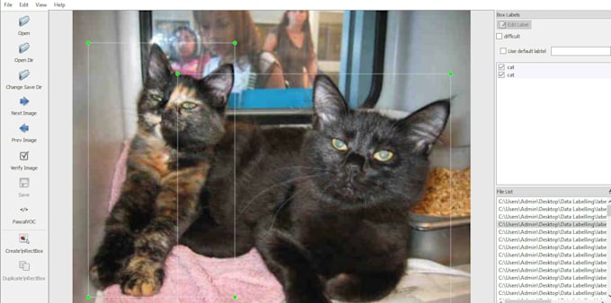 annotate images for ai and machine learning