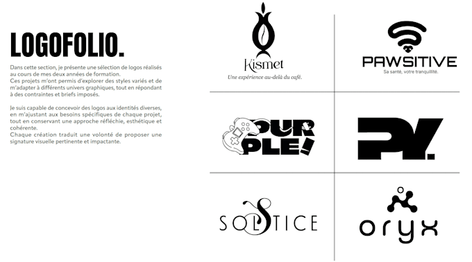 create a professional brand identity and visual design