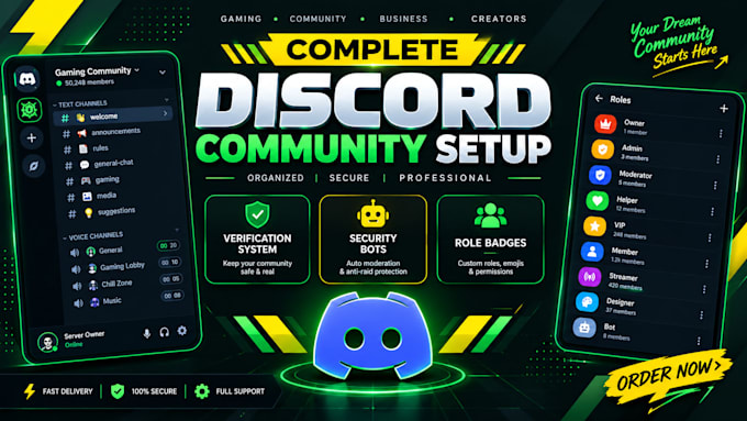 do professional discord server setup