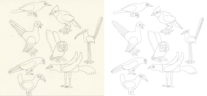 vectorize sketch to vector art in 24 hours