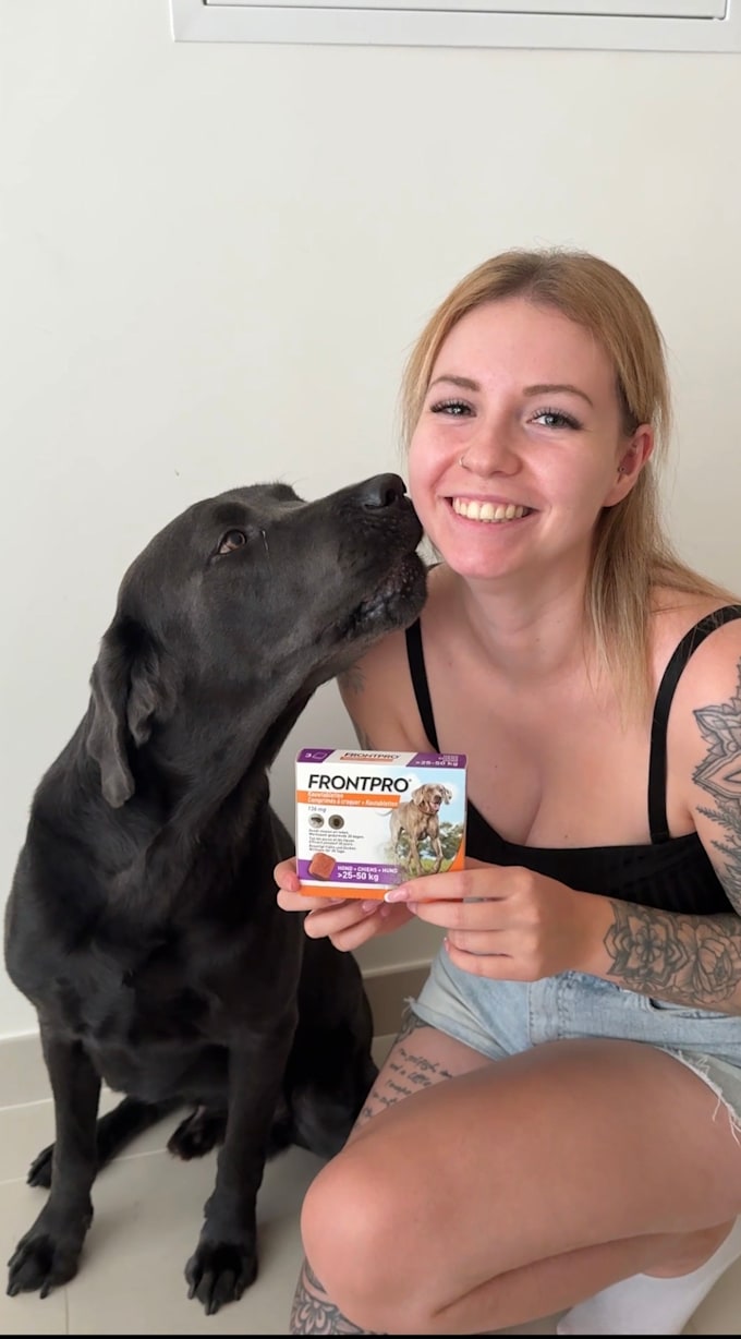 create ugc videos with my dog