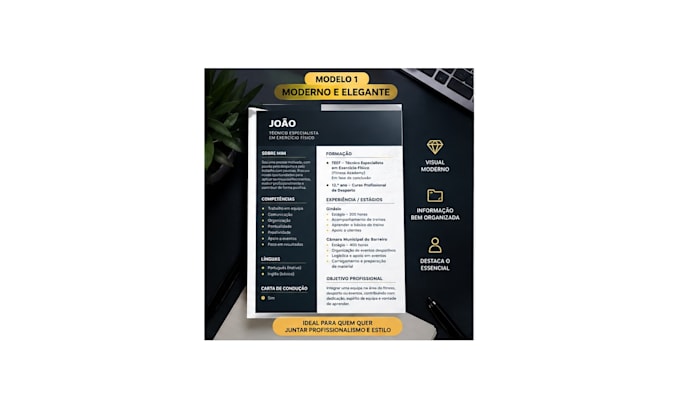 create a professional modern resume or CV