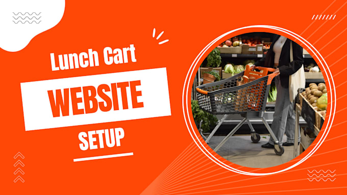 setup, design, redesign lunch cart website, store seo