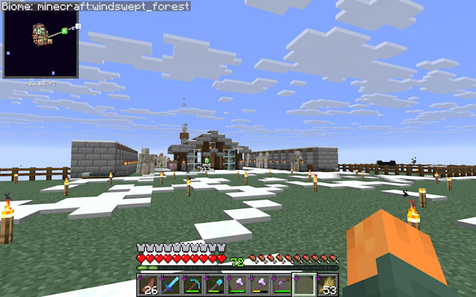 play minecraft with you, survive and build togheter