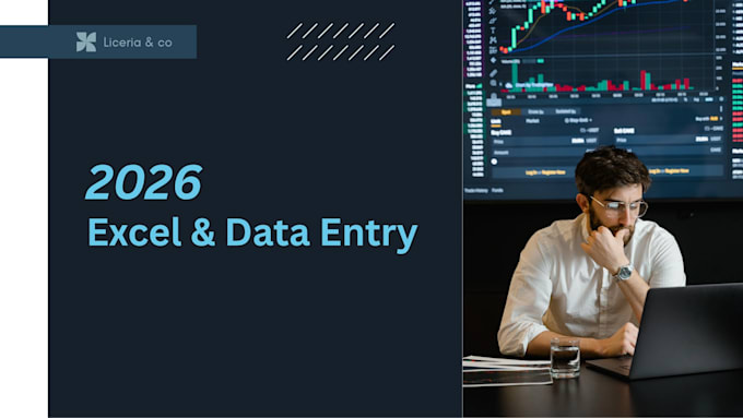 do professional financial data entry and excel bookkeeping