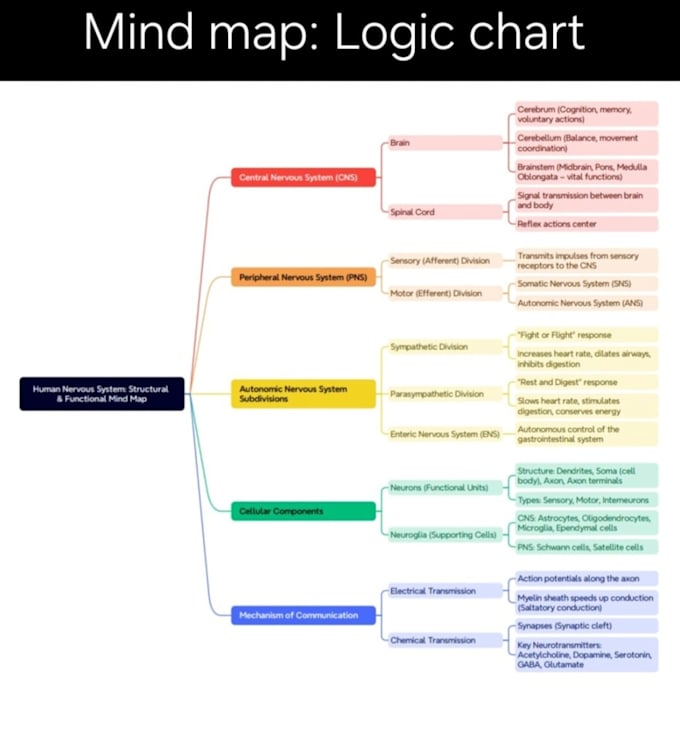 design professional mind maps and visual summaries