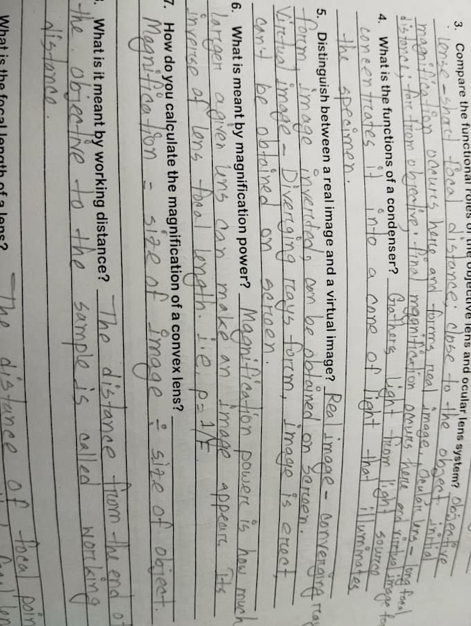 write any academic notes paragraphs and compositions