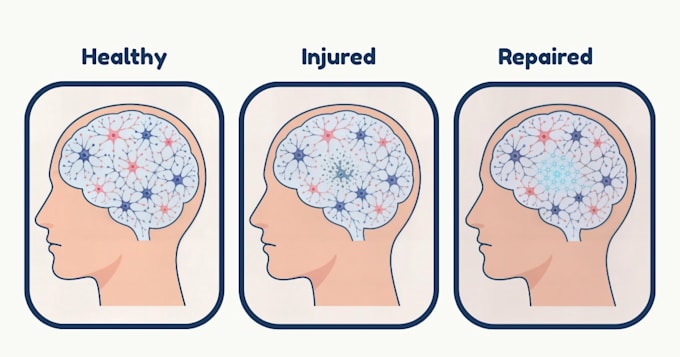 create stunning medical illustrations and presentation