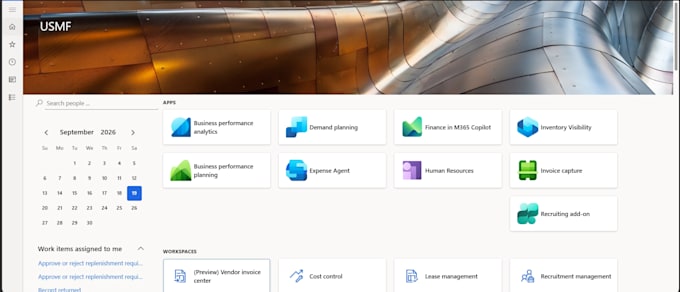 provide ms d365 finance and operations functional support
