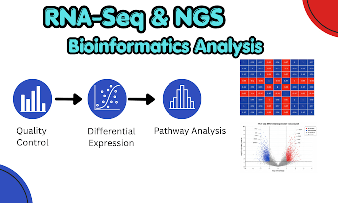 do rna seq, wgs, wes and ngs bioinformatics analysis