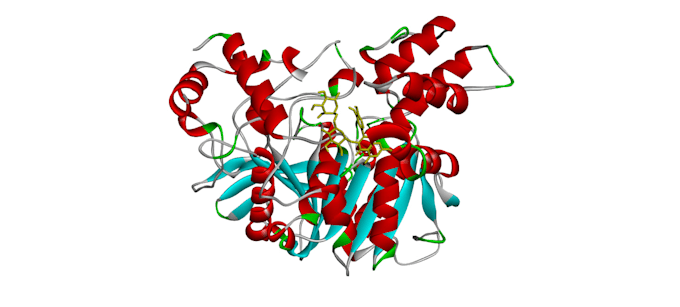 do molecular docking and virtual screening analysis
