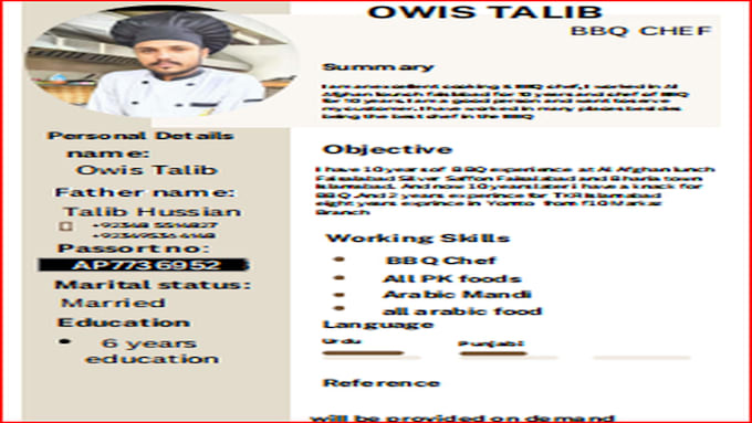 create a professional CV resume in ms word