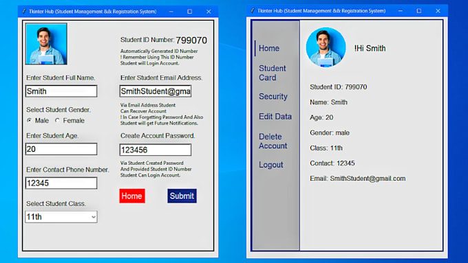create a custom desktop application