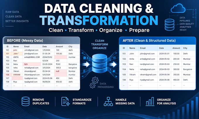 provide professional data cleaning, transformation, and organization