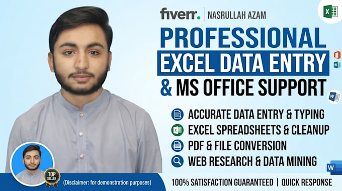 do professional excel data entry and ms office work