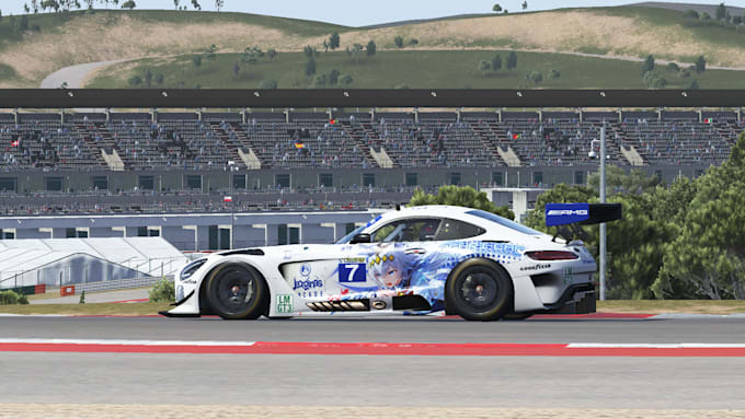 do livery services on sim racing games