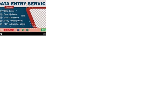 do accurate data entry excel data cleanup and copy paste work