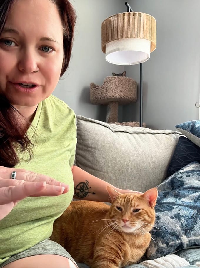 make creative and engaging pet ugc content with my cats
