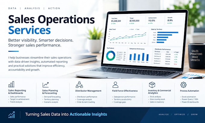 provide sales operations, analytics, reporting and business insights