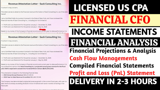 prepare virtual cfo financial report, financial forecast, cash flow analysis